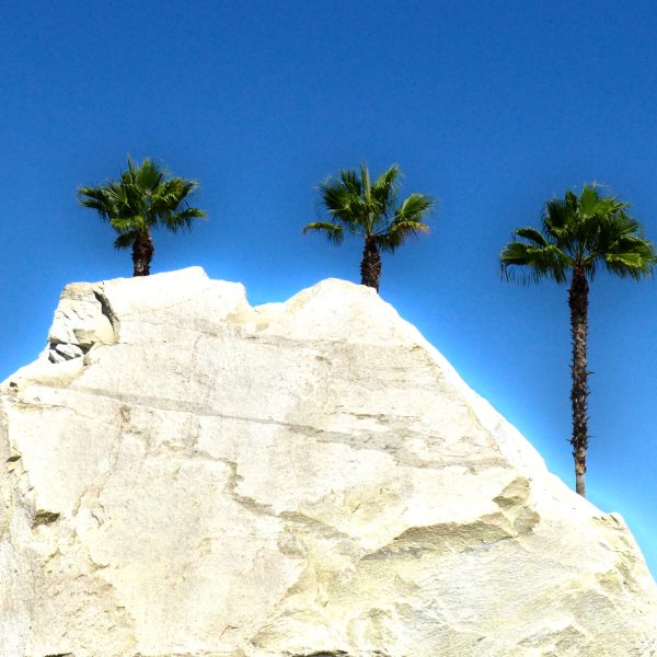 5palms