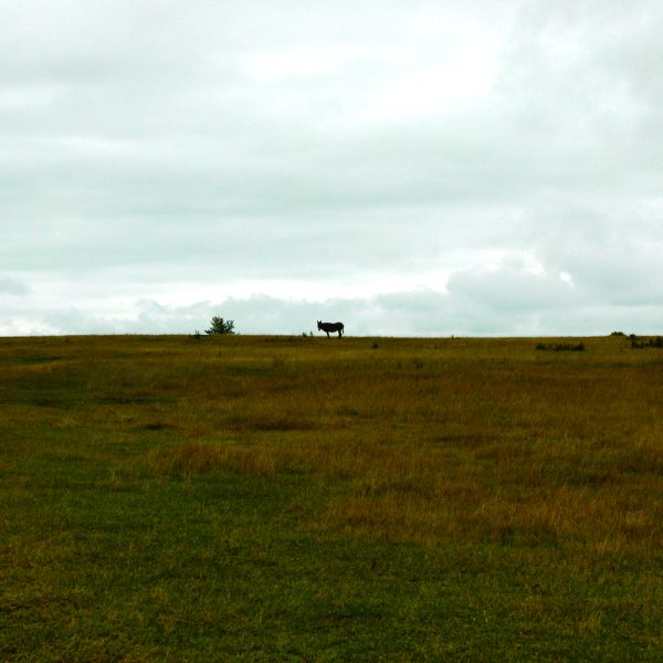 Things_you_can_find_on_the_horizon