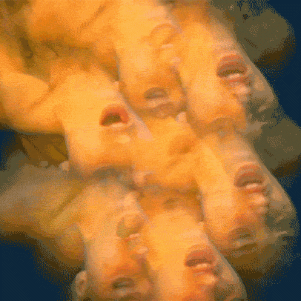 erotica15