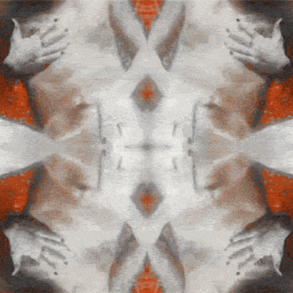erotica21
