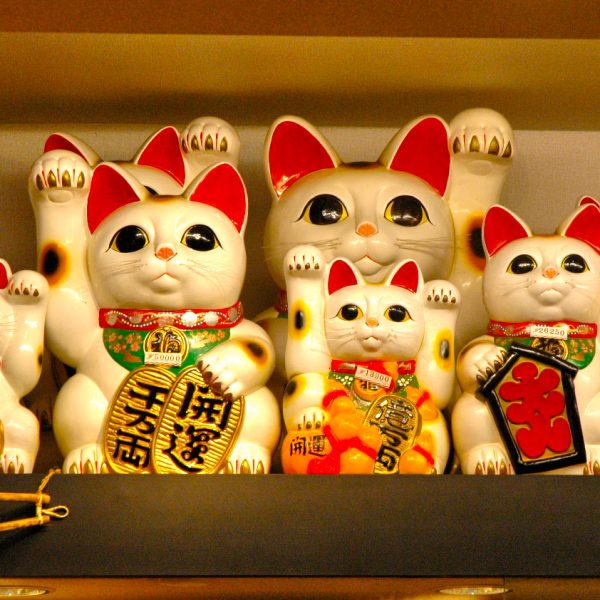 hellokitties