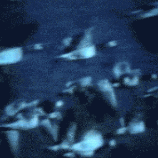 motion02
