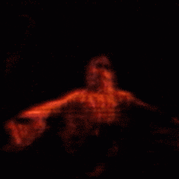 motion19