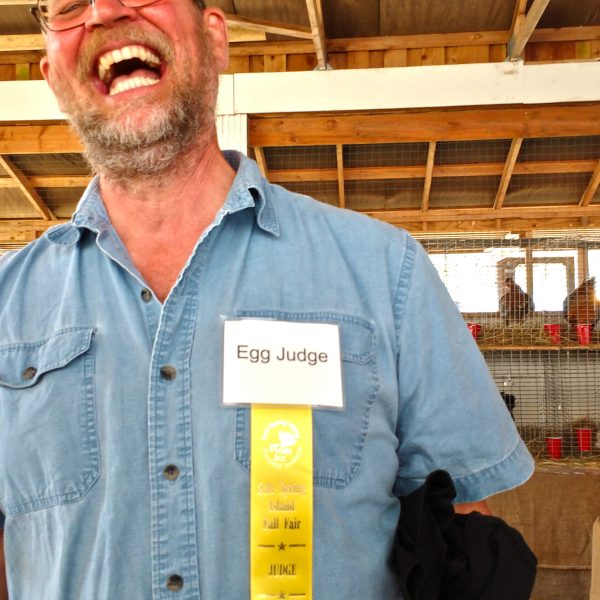 the_egg_judge